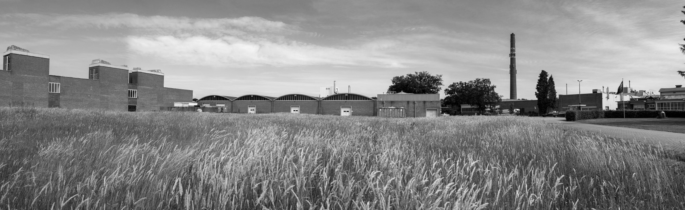 Headerbeeld_REaD